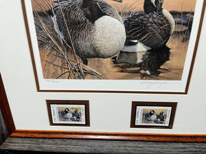 Larry Hayden - 1992 Texas Waterfowl Duck Stamp Print With Double Stamps - Brand New Custom Sporting Frame