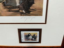 Load image into Gallery viewer, Larry Hayden - 1992 Texas Waterfowl Duck Stamp Print With Double Stamps - Brand New Custom Sporting Frame