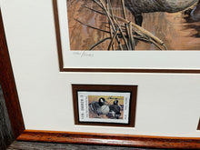 Load image into Gallery viewer, Larry Hayden - 1992 Texas Waterfowl Duck Stamp Print With Double Stamps - Brand New Custom Sporting Frame