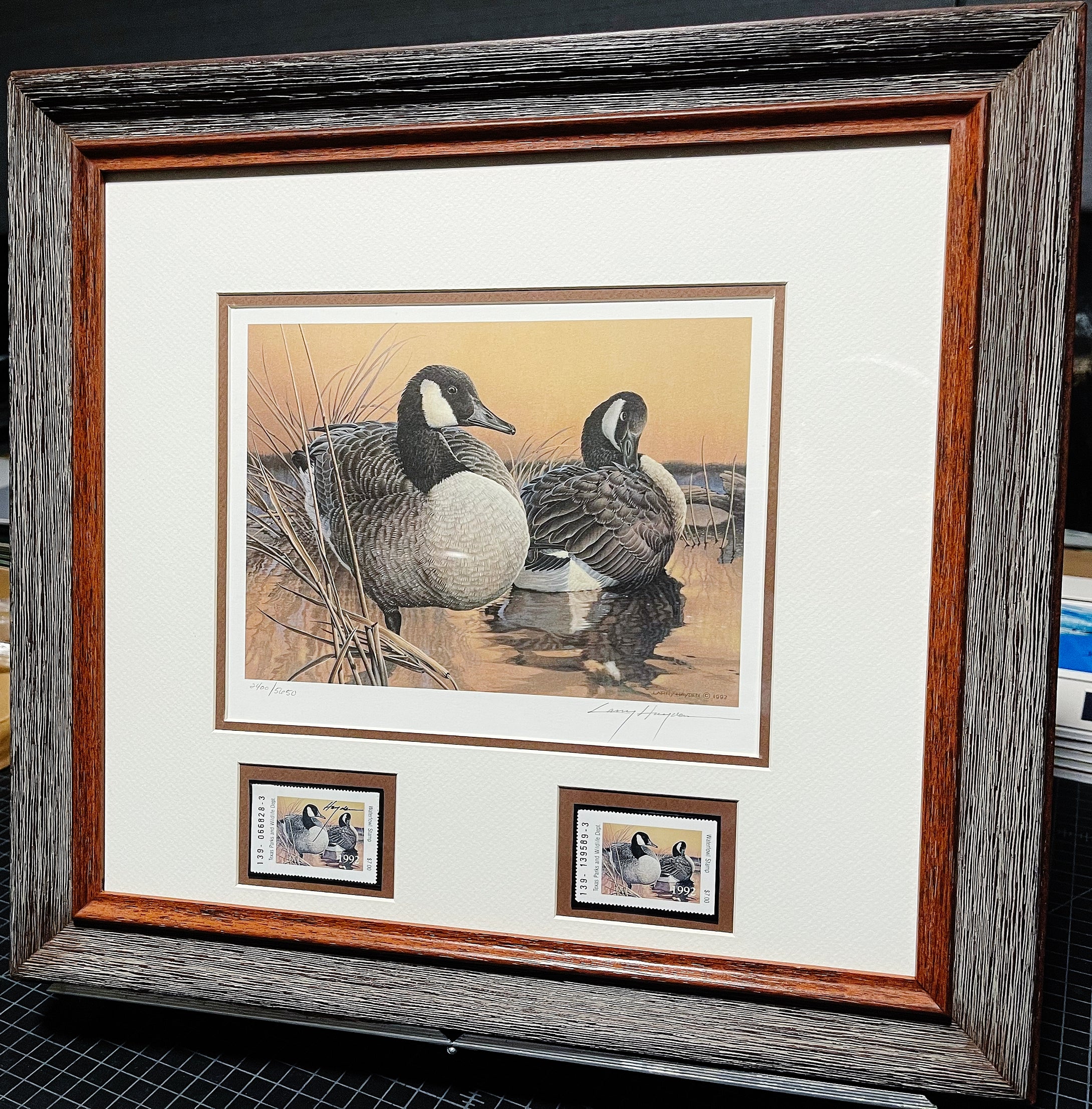 Larry Hayden 1992 Texas Waterfowl Duck Stamp Print With Double Stamps - Brand New Custom Sporting Frame