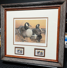 Load image into Gallery viewer, Larry Hayden - 1992 Texas Waterfowl Duck Stamp Print With Double Stamps - Brand New Custom Sporting Frame