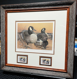 Larry Hayden - 1992 Texas Waterfowl Duck Stamp Print With Double Stamps - Brand New Custom Sporting Frame
