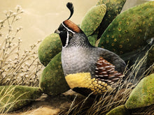 Load image into Gallery viewer, Sherrie Russel Meline - 2003 Texas Quail Stamp Print With Double Stamps - AP - Brand New Custom Sporting Frame