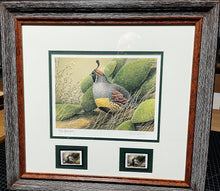 Load image into Gallery viewer, Sherrie Russel Meline - 2003 Texas Quail Stamp Print With Double Stamps - AP - Brand New Custom Sporting Frame