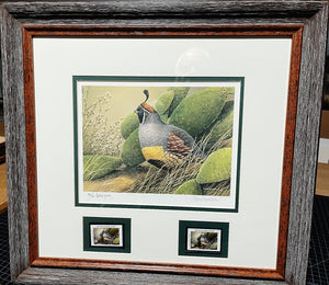 Sherrie Russel Meline - 2003 Texas Quail Stamp Print With Double Stamps - AP - Brand New Custom Sporting Frame