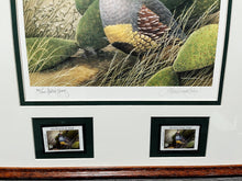 Load image into Gallery viewer, Sherrie Russel Meline - 2003 Texas Quail Stamp Print With Double Stamps - AP - Brand New Custom Sporting Frame