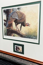 Load image into Gallery viewer, Al Agnew - 1990 Texas Wild Turkey Stamp Print With Stamp - Brand New Custom Sporting Frame