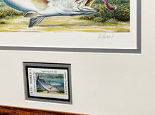Load image into Gallery viewer, Al Agnew 1991 Texas Saltwater Stamp Print With Stamp - Brand New Custom Sporting Frame