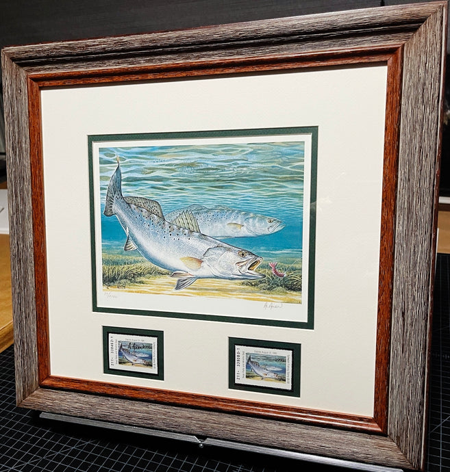 Al Agnew - 1991 Texas Saltwater Stamp Print With Double Stamps - Brand New Custom Sporting Frame