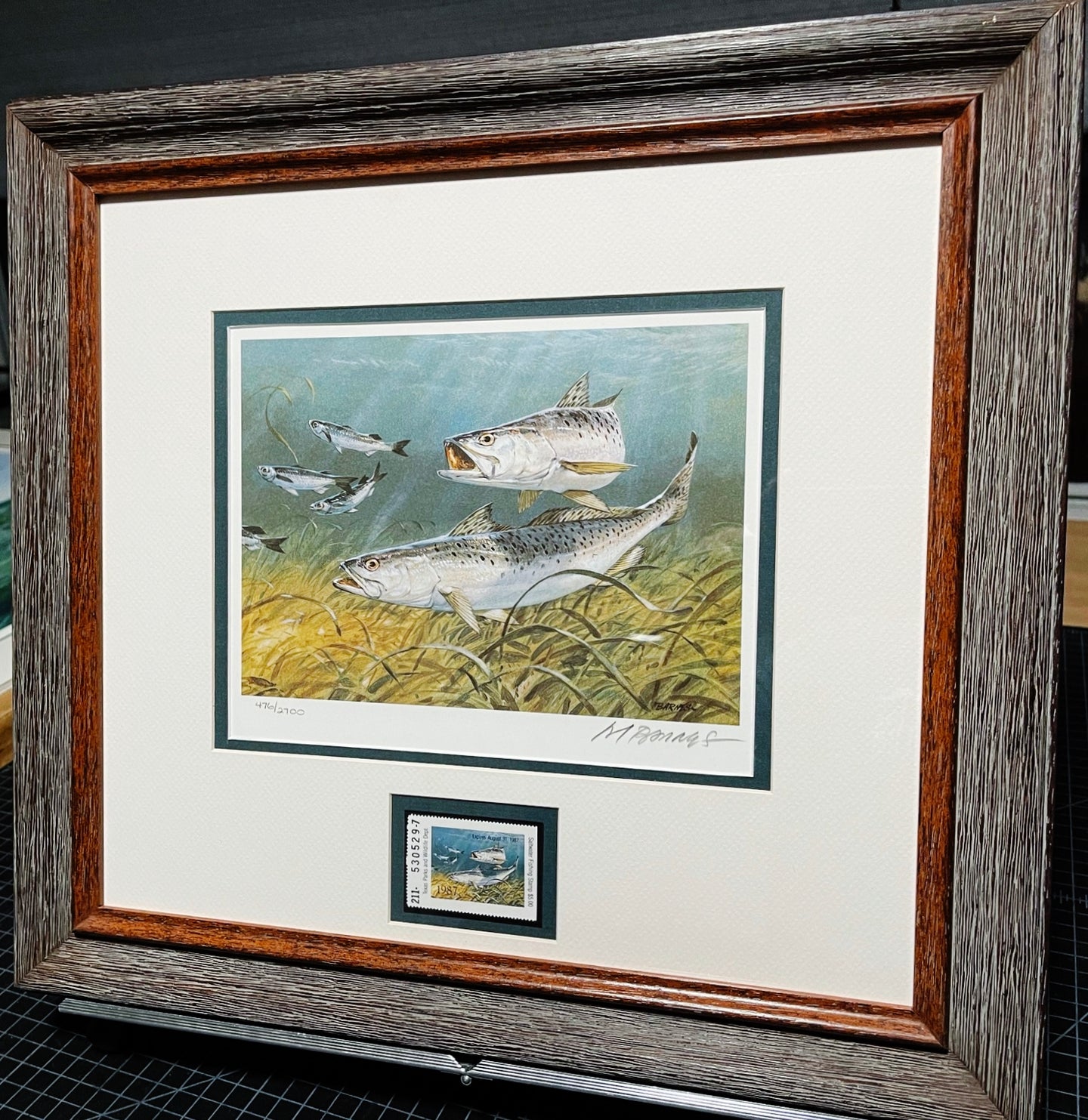 Al Barnes - 1987 Texas Saltwater Stamp Print With Stamp - Brand New Custom Sporting Frame