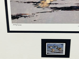 Al Barnes 1993 Ducks Unlimited Stamp Print With Stamp - Brand New Super Custom Sporting Frame