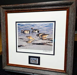 Al Barnes 1993 Ducks Unlimited Stamp Print With Stamp - Brand New Super Custom Sporting Frame