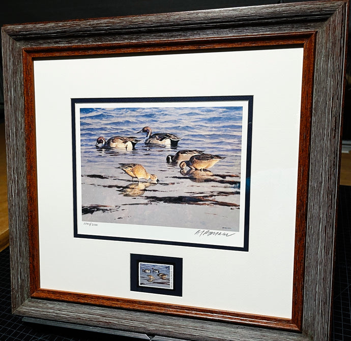 Al Barnes 1993 Ducks Unlimited Stamp Print With Stamp - Brand New Super Custom Sporting Frame