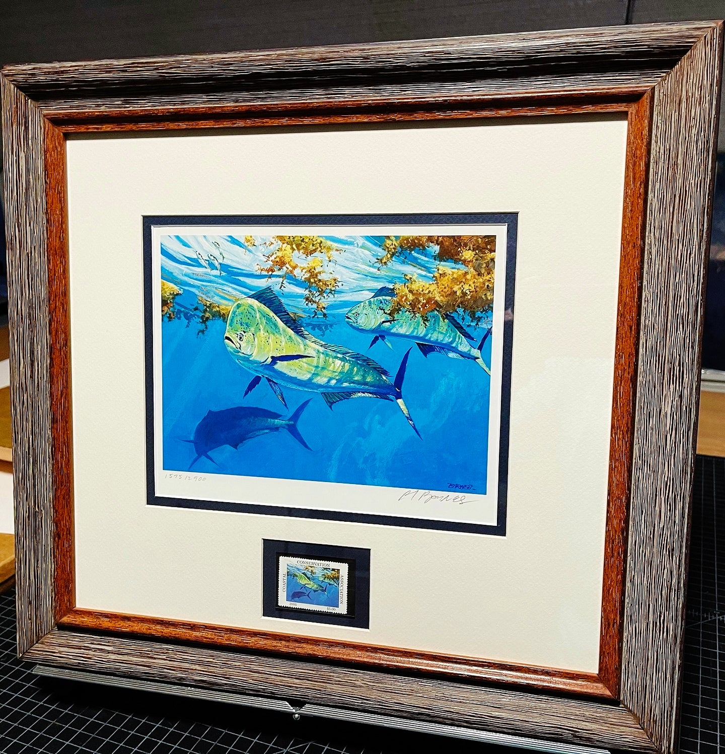 Al Barnes - 2001 Coastal Conservation Association CCA Stamp Print With Stamp - Brand New Custom Sporting Frane