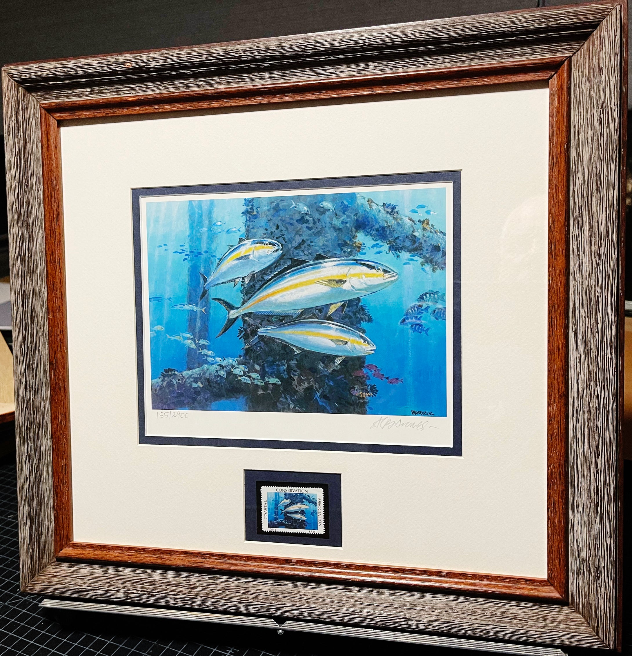 Al Barnes 2014 Coastal Conservation Association CCA Stamp Print With Stamp - Brand New Super Custom Sporting Frame