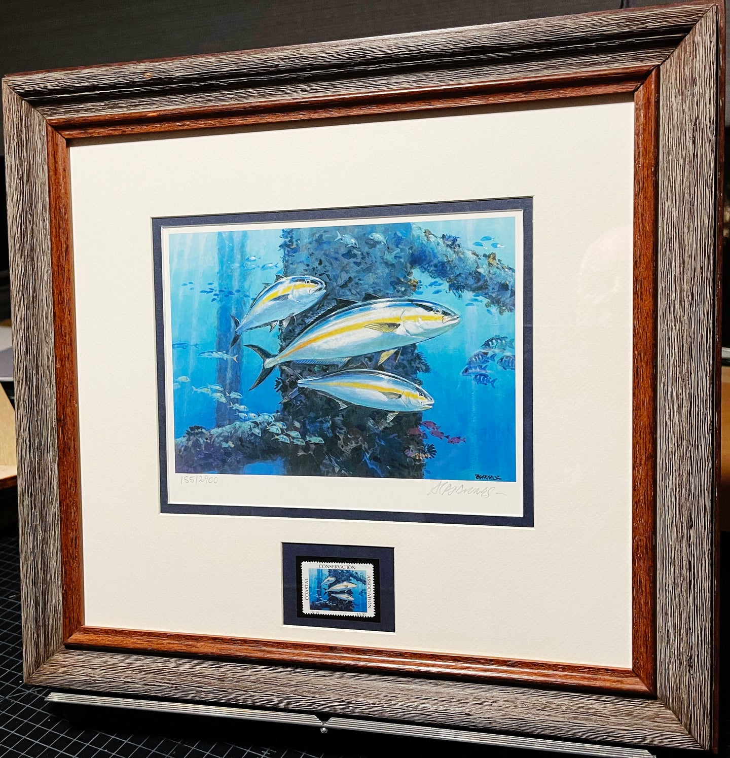 Al Barnes - 2014 Coastal Conservation Association CCA Stamp Print With Stamp - Brand New Custom Sporting Frame