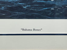 Load image into Gallery viewer, Al Barnes - Bahama Bones - Lithograph - Brand New Custom Sporting Frame