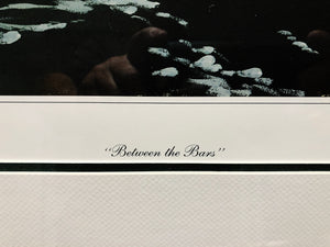 Al Barnes - Between The Bars - Lithograph - Brand New Custom Sporting Frame
