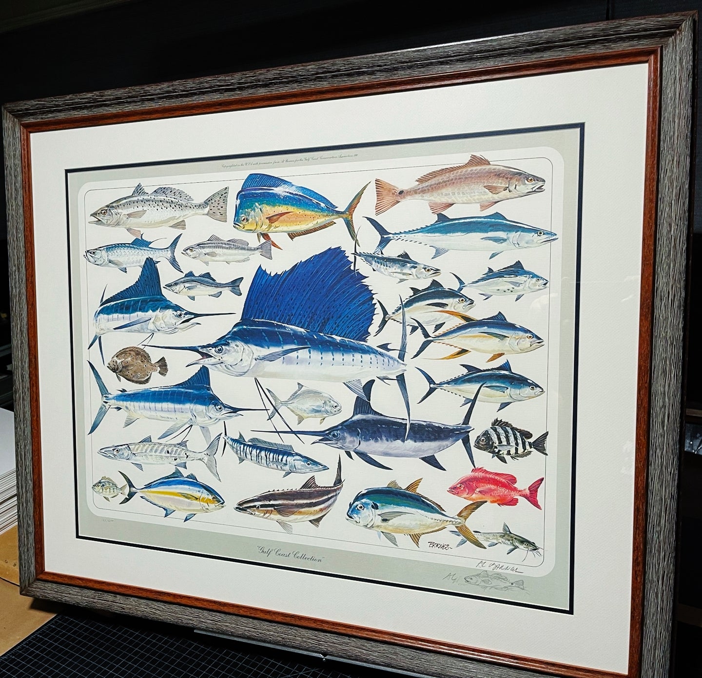 Al Barnes - Gulf Coast Collection With Ultra Rare Redfish Remarque - Lithograph 1980 - Brand New Custom Sporting Frame