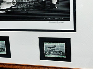 Alderson Magee - 1976 Federal Waterfowl Stamp Print With Double Stamps - Brand New Custom Sporting Frame