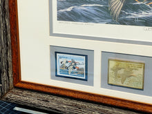 Load image into Gallery viewer, Arthur P. Anderson 1987 Federal Waterfowl Duck Stamp Print Medallion Edition With Double Stamps - Brand New Custom Sporting Frame