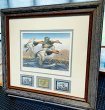 Load image into Gallery viewer, Arthur P. Anderson 1987 Federal Waterfowl Duck Stamp Print Medallion Edition With Double Stamps - Brand New Custom Sporting Frame