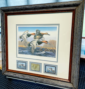 Arthur P. Anderson 1987 Federal Waterfowl Duck Stamp Print Medallion Edition With Double Stamps - Brand New Custom Sporting Frame