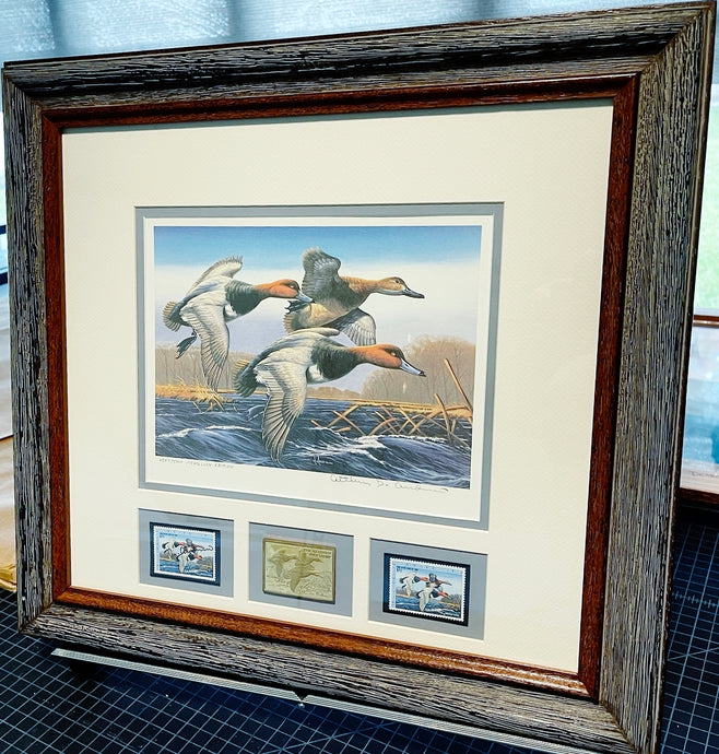 Arthur P. Anderson 1987 Federal Waterfowl Duck Stamp Print Medallion Edition With Double Stamps - Brand New Super Custom Sporting Frame
