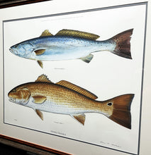 Load image into Gallery viewer, Ben Kocian - Double Trouble - Lithograph Coastal Conservation Association CCA - Brand New Custom Sporting Frame
