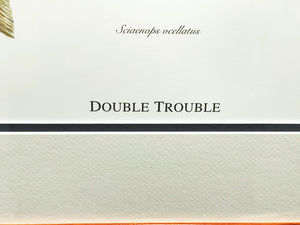 Ben Kocian - Double Trouble - Lithograph Coastal Conservation Association CCA - Brand New Custom Sporting Frame