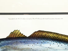 Load image into Gallery viewer, Ben Kocian - Double Trouble - Lithograph Coastal Conservation Association CCA - Brand New Custom Sporting Frame