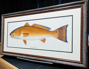 Ben Kocian - Redfish - Framed Texas Sea World Art - Lithograph Quality - Brand New Custom Sporting Frame