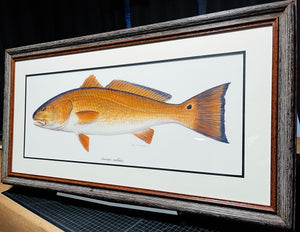 Ben Kocian Redfish - Framed Texas Sea World Art - Lithograph Quality - Brand New Custom Sporting Frame