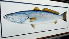 Load image into Gallery viewer, Ben Kocian Speckled Trout - Texas Sea Center Poster Art - Lithograph Quality - Brand New Super Custom Sporting Frame