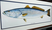 Load image into Gallery viewer, Ben Kocian - Speckled Trout - Texas Sea Center Poster Art - Lithograph Quality - Brand New Custom Sporting Frame