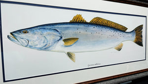 Ben Kocian - Speckled Trout - Texas Sea Center Poster Art - Lithograph Quality - Brand New Custom Sporting Frame