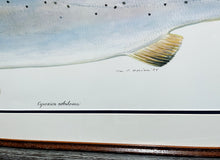 Load image into Gallery viewer, Ben Kocian Speckled Trout - Texas Sea Center Poster Art - Lithograph Quality - Brand New Super Custom Sporting Frame