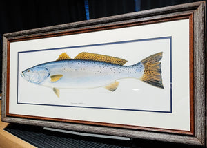 Ben Kocian Speckled Trout - Texas Sea Center Poster Art - Lithograph Quality - Brand New Super Custom Sporting Frame