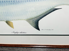 Load image into Gallery viewer, Ben Kocian - Tarpon  - Texas Sea Center Poster Art Lithograph Quality - Brand New Custom Sporting Frame