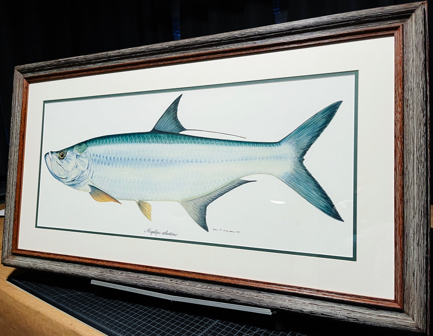 Ben Kocian - Tarpon  - Texas Sea Center Poster Art Lithograph Quality - Brand New Custom Sporting Frame