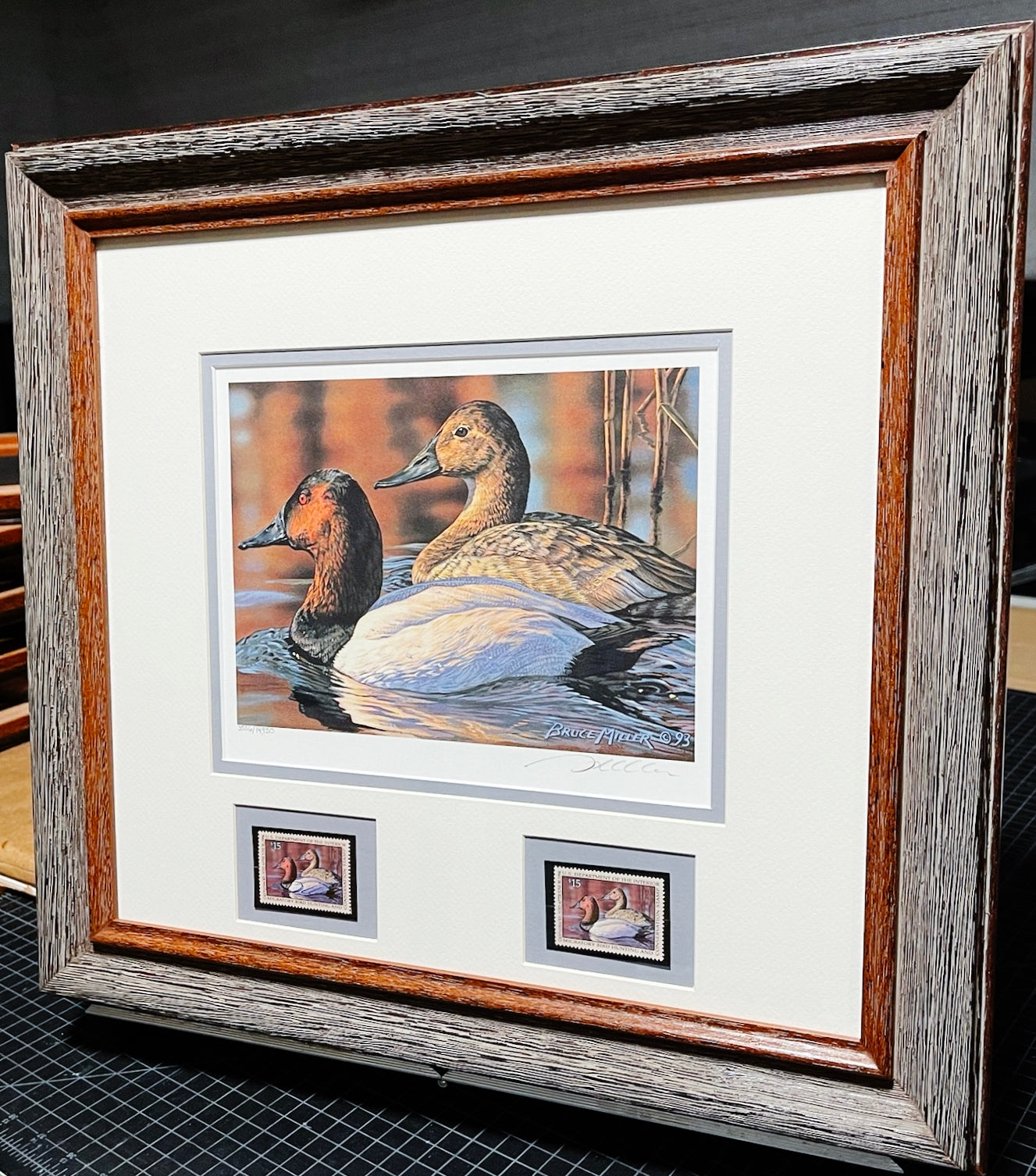 Bruce Miller 1993 Federal Migratory Duck Stamp Print With Double Stamps - Brand New Custom Sporting Frame
