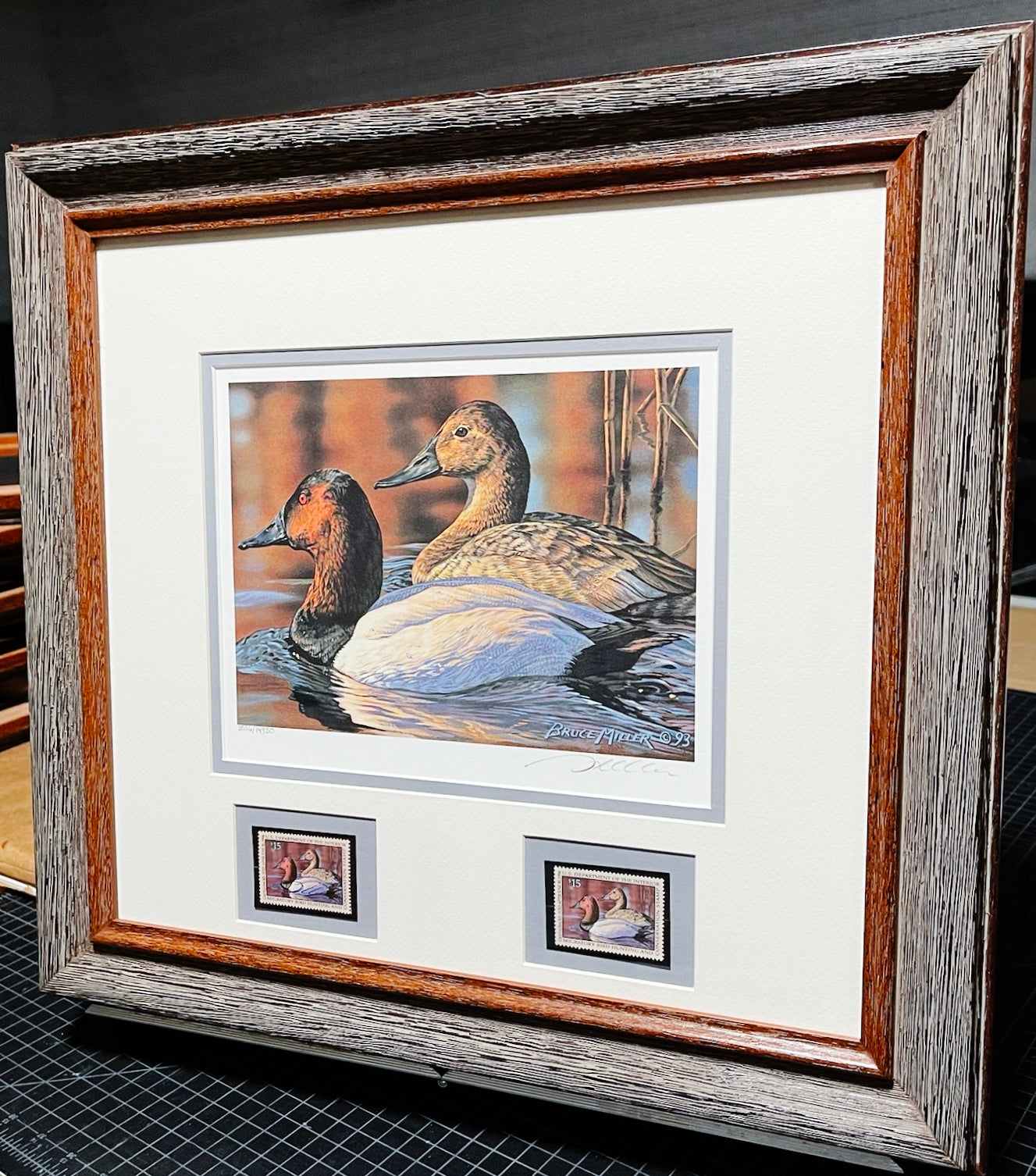 Bruce Miller - 1993 Federal Migratory Duck Stamp Print With Double Stamps - Brand New Custom Sporting Frame