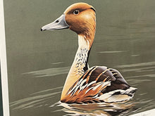 Load image into Gallery viewer, Burton E. Moore - 1986 Federal Duck Stamp Print Gold Medallion Edition With Double Stamps - Brand New Custom, Sporting Frame