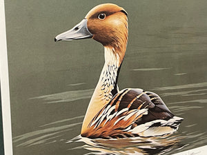 Burton E. Moore 1986 Federal Duck Stamp Print With Double Stamps - Whistling Tree Duck's -  Brand New Custom Sporting Frame