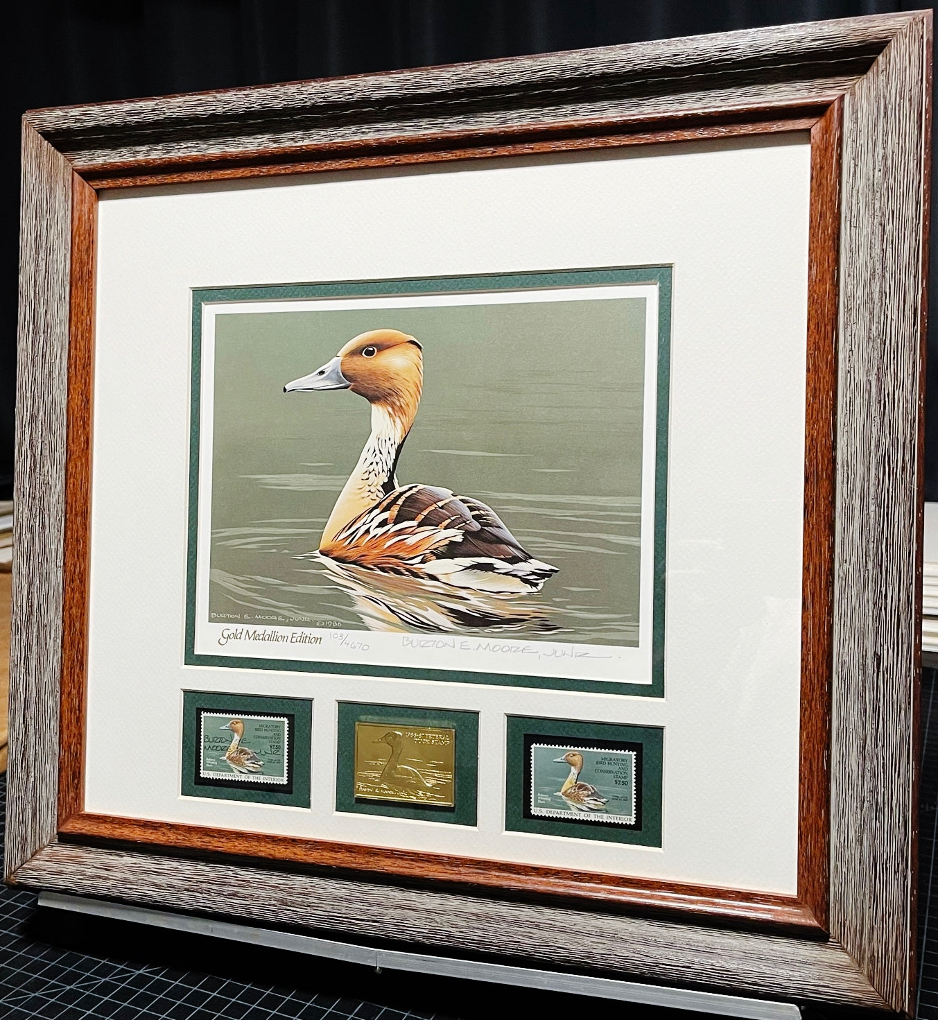 Burton E. Moore - 1986 Federal Duck Stamp Print Gold Medallion Edition With Double Stamps - Brand New Custom, Sporting Frame