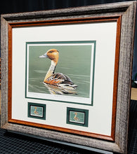 Load image into Gallery viewer, Burton E. Moore - 1986 Federal Duck Stamp Print With Double Stamps - Whistling Tree Duck&#39;s -  Brand New Custom Sporting Frame