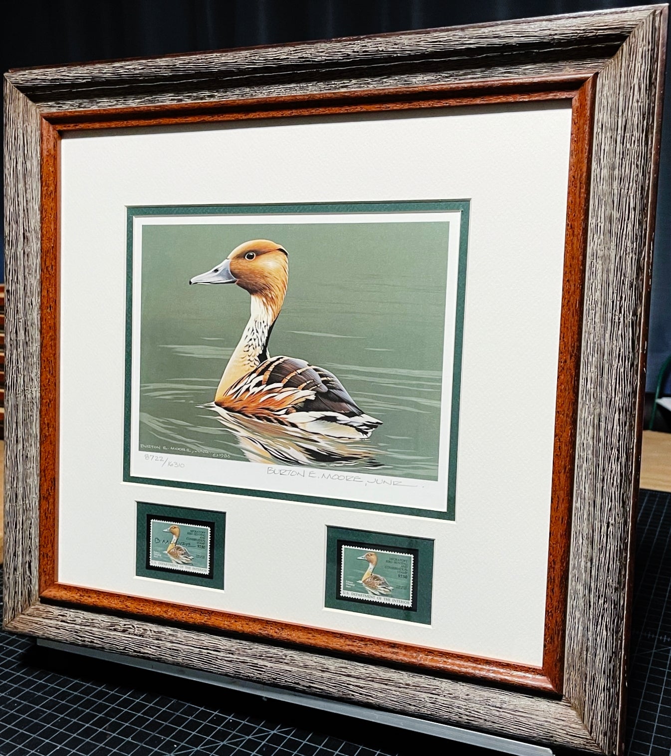 Burton E. Moore - 1986 Federal Duck Stamp Print With Double Stamps - Whistling Tree Duck's -  Brand New Custom Sporting Frame