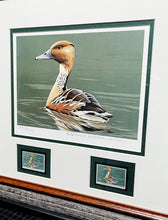 Load image into Gallery viewer, Burton E. Moore - 1986 Federal Duck Stamp Print With Double Stamps - Whistling Tree Duck&#39;s -  Brand New Custom Sporting Frame