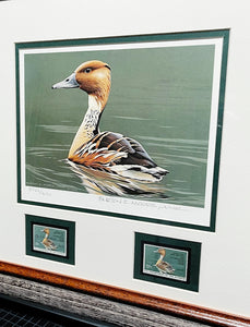 Burton E. Moore - 1986 Federal Duck Stamp Print With Double Stamps - Whistling Tree Duck's -  Brand New Custom Sporting Frame