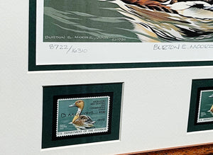Burton E. Moore 1986 Federal Duck Stamp Print With Double Stamps - Whistling Tree Duck's -  Brand New Custom Sporting Frame